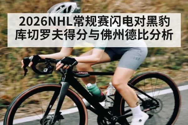 2026NHL常规赛闪电对黑豹库切罗夫得分与佛州德比分析